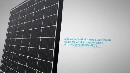 Longi Trina Ja Halbzelle N Topcon Solar Panel 182mm 210mm 400W 420W 450W 550W 580W 600W 700W 9bb 10bb 12bb Perc